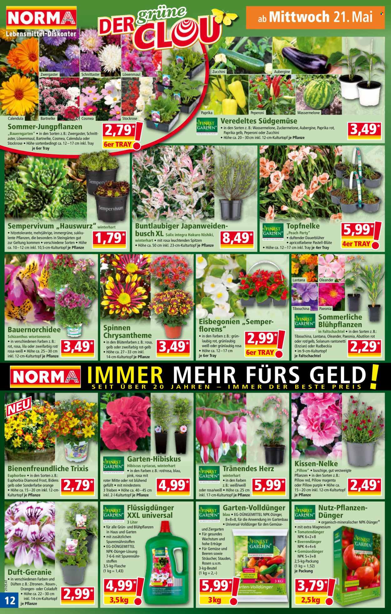 Angebote Norma - 19.5.2025 - 24.5.2025. Seite 12