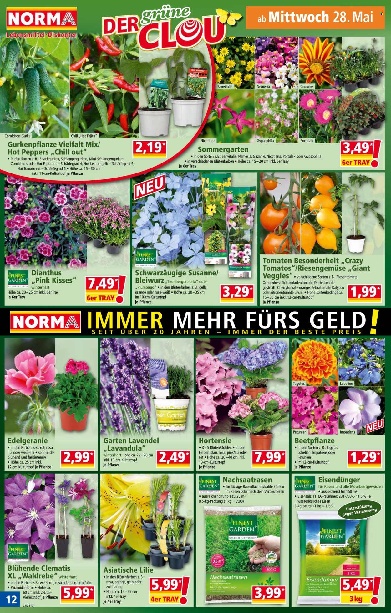 Angebote Norma - 26.5.2025 - 31.5.2025. Seite 12
