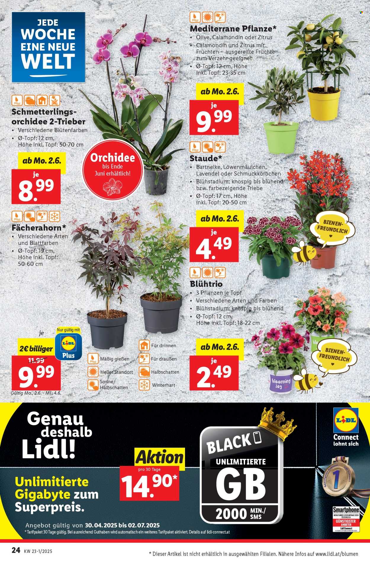 Angebote Lidl - 28.5.2025 - 3.6.2025. Seite 30