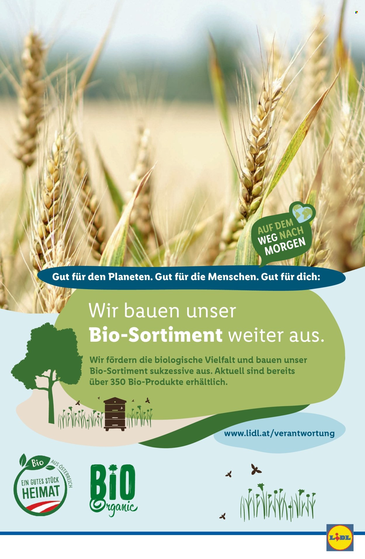 Angebote Lidl - 5.6.2025 - 11.6.2025. Seite 45