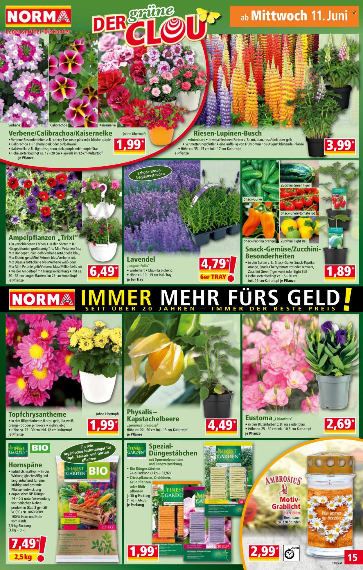 Angebote Norma - 10.6.2025 - 14.6.2025. Seite 15