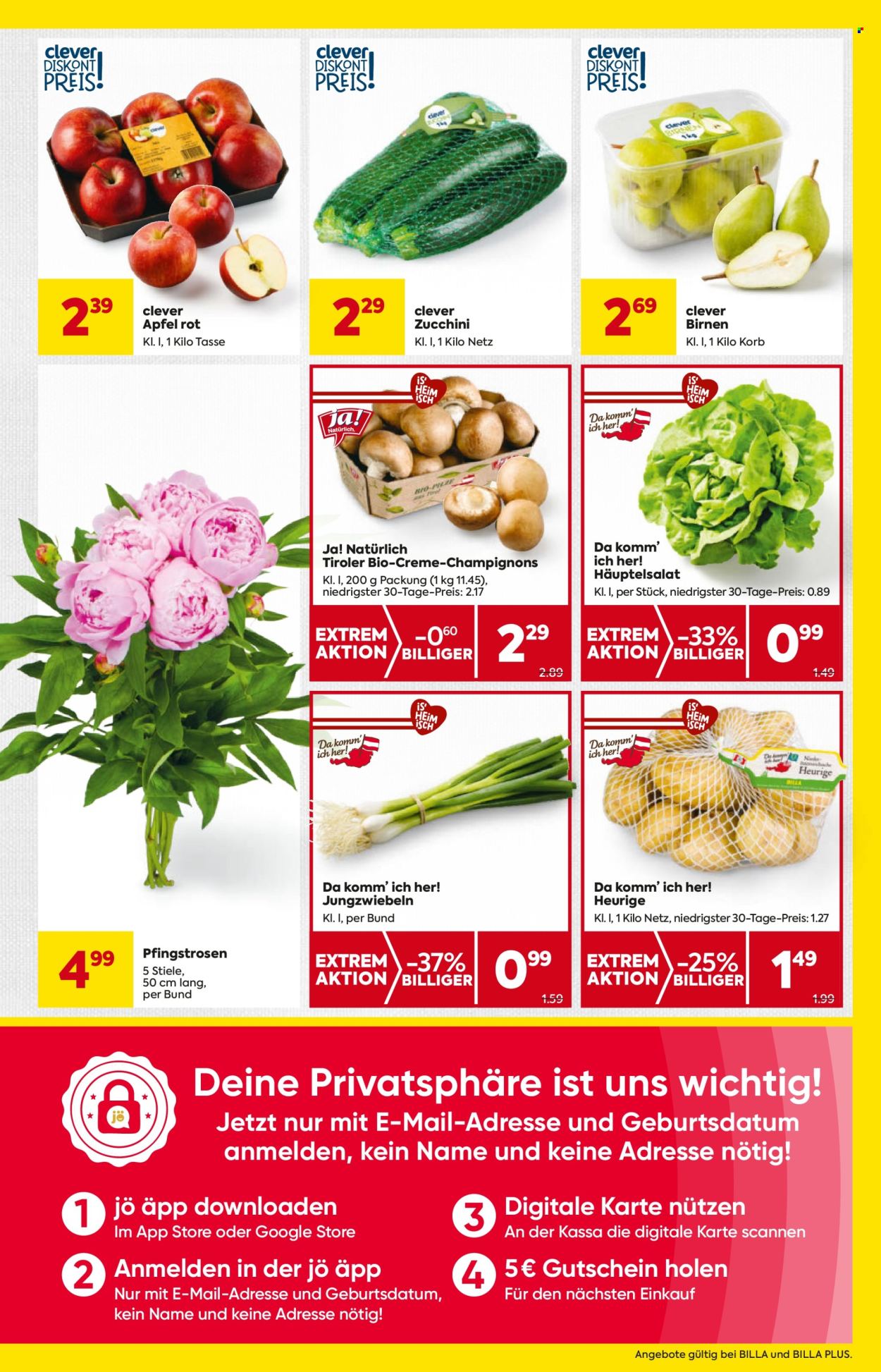 Angebote Billa - 5.6.2025 - 11.6.2025. Seite 7