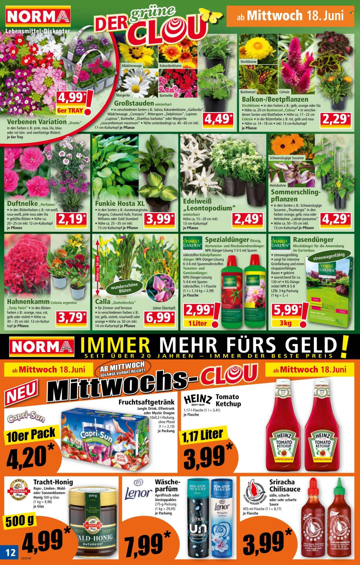 Angebote Norma - 16.6.2025 - 21.6.2025. Seite 12