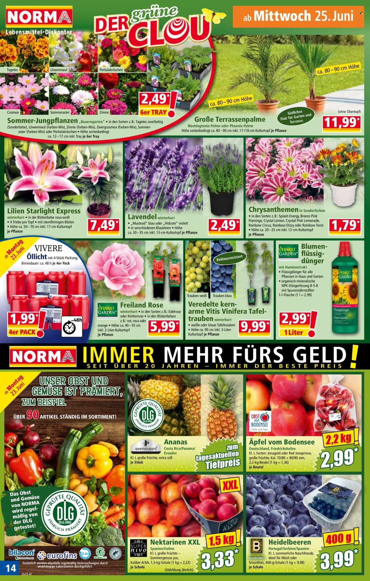 Angebote Norma - 23.6.2025 - 28.6.2025. Seite 14