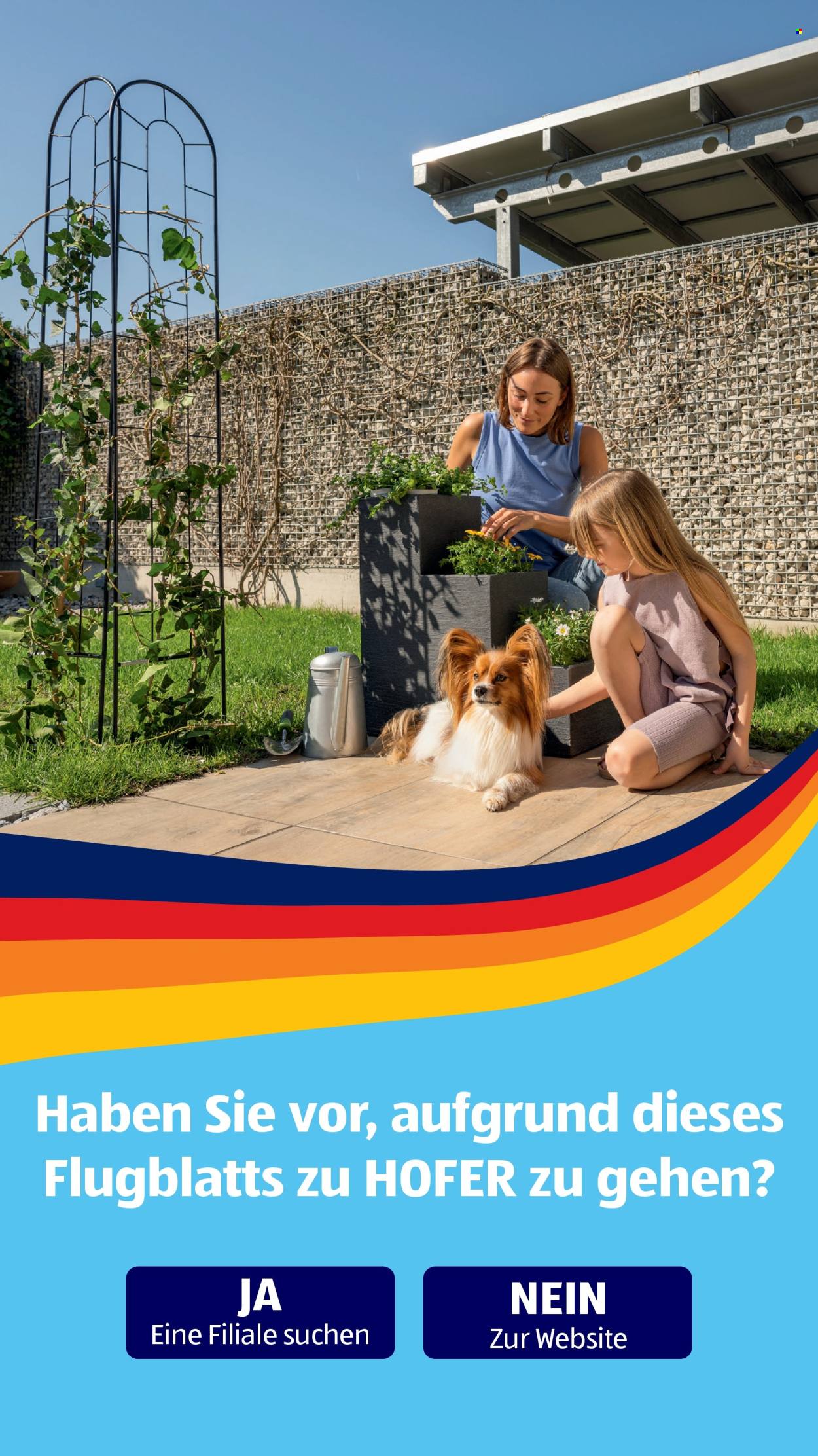 Angebote Hofer - 27.6.2025 - 3.7.2025. Seite 41