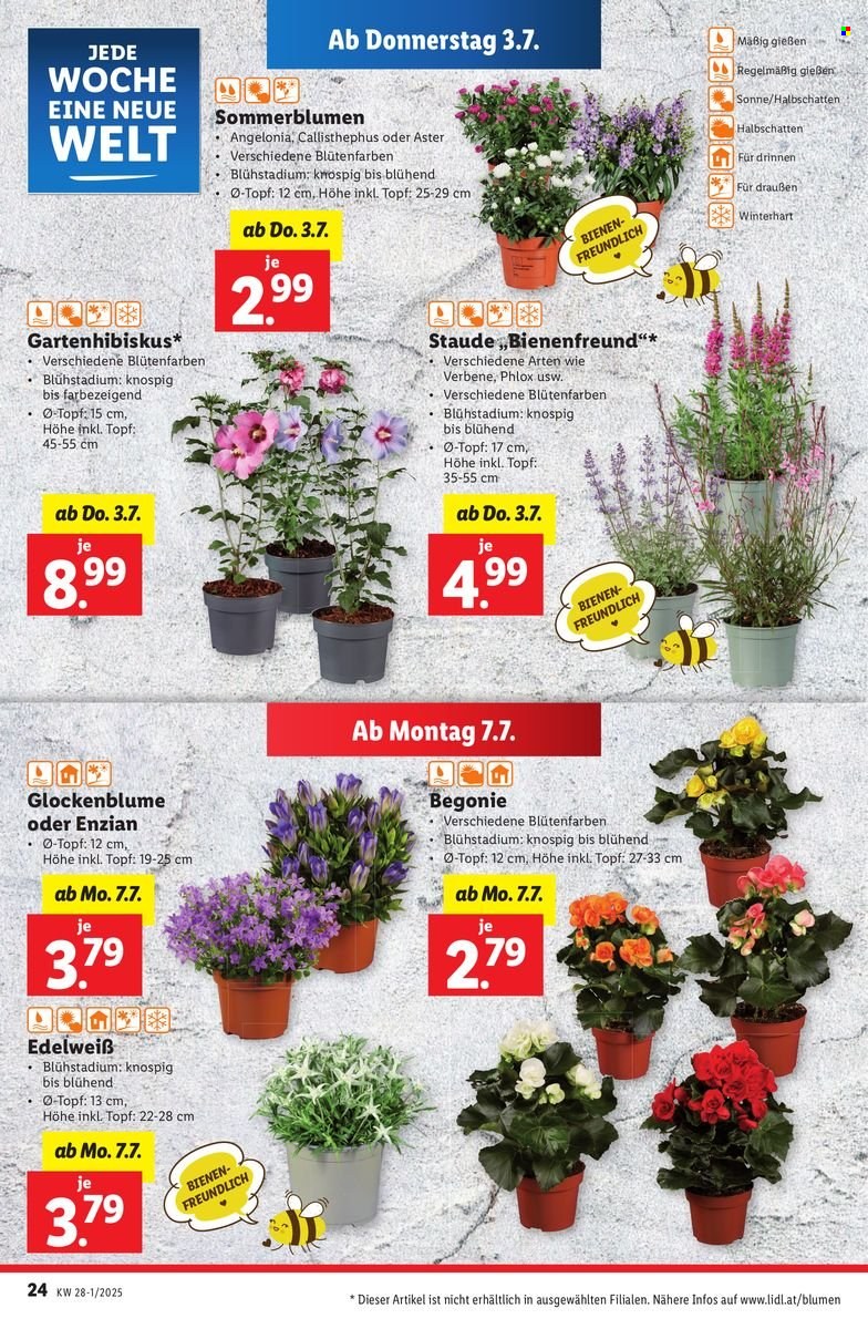 Angebote Lidl - 3.7.2025 - 9.7.2025. Seite 28
