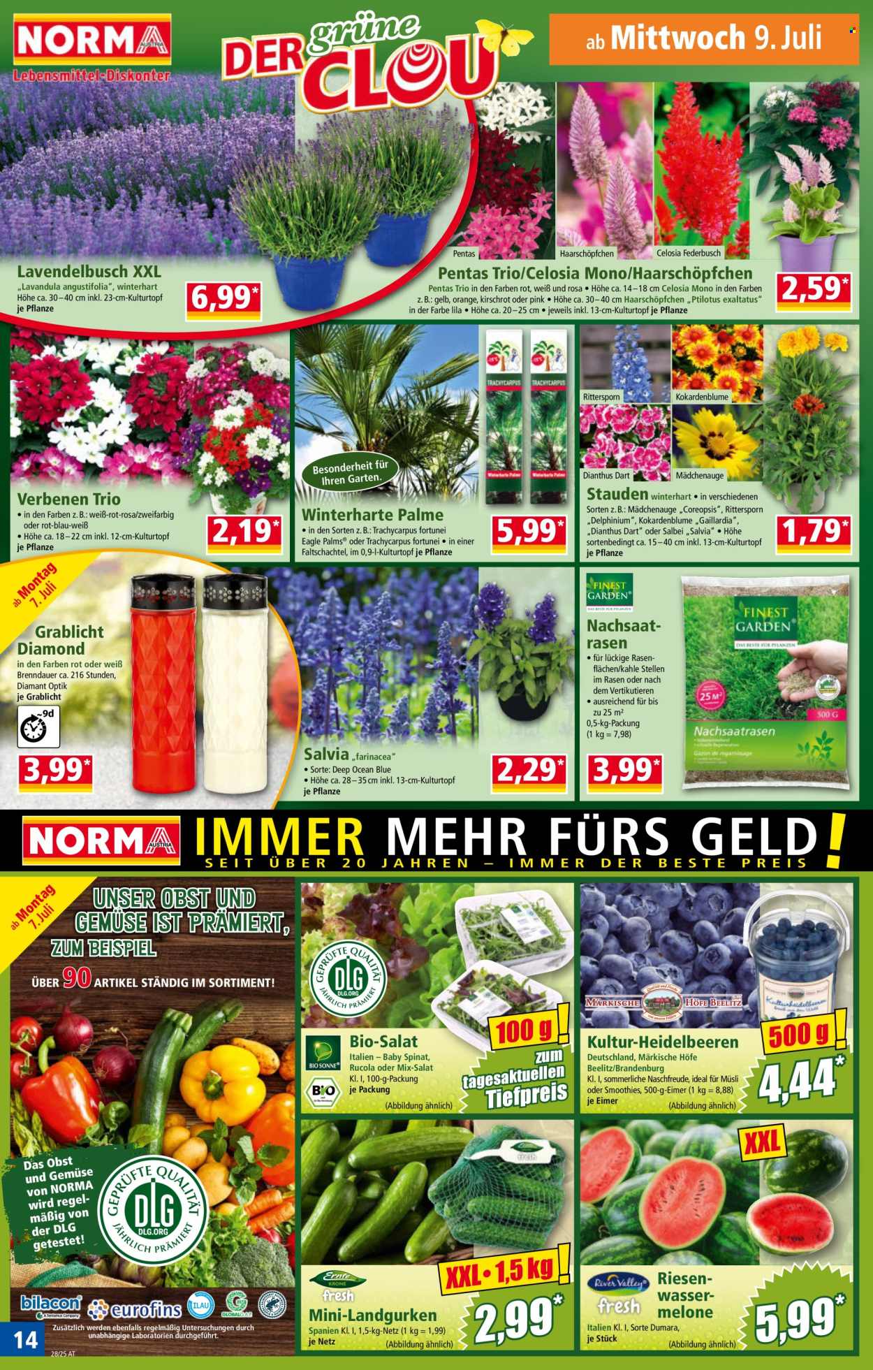 Angebote Norma - 7.7.2025 - 12.7.2025. Seite 14