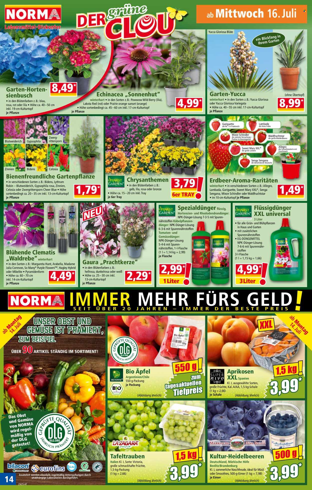 Angebote Norma - 14.7.2025 - 19.7.2025. Seite 14