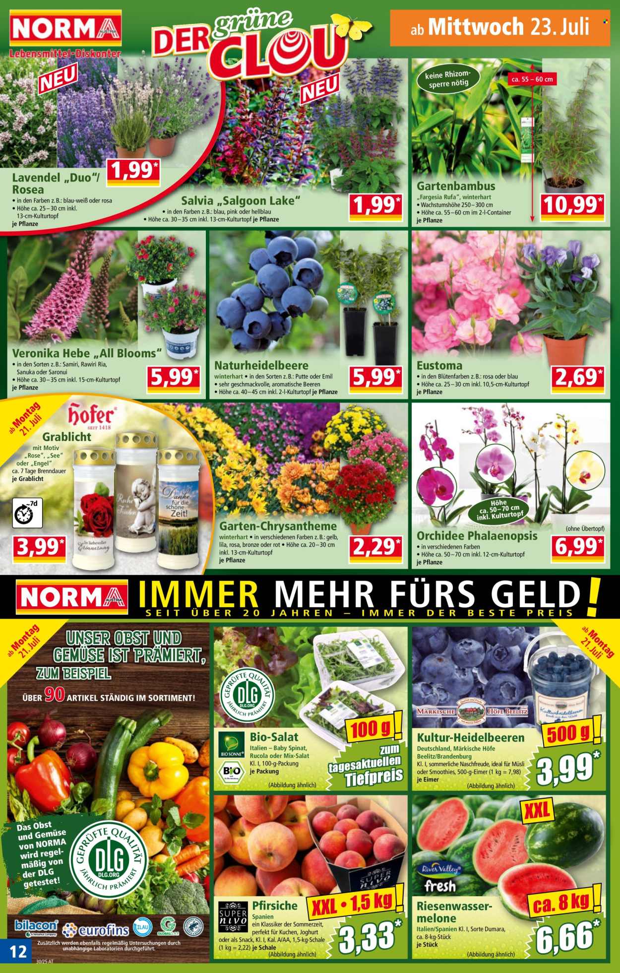 Angebote Norma - 21.7.2025 - 26.7.2025. Seite 12