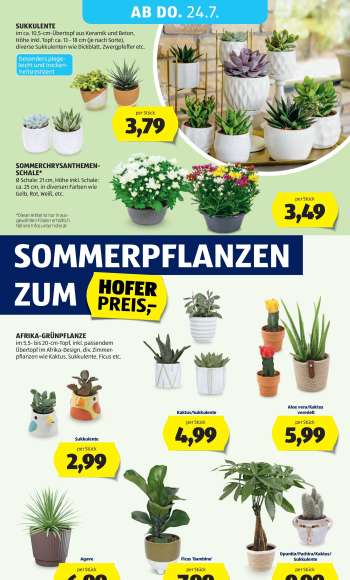 thumbnail - AFRIKA-GRÜNPFLANZE