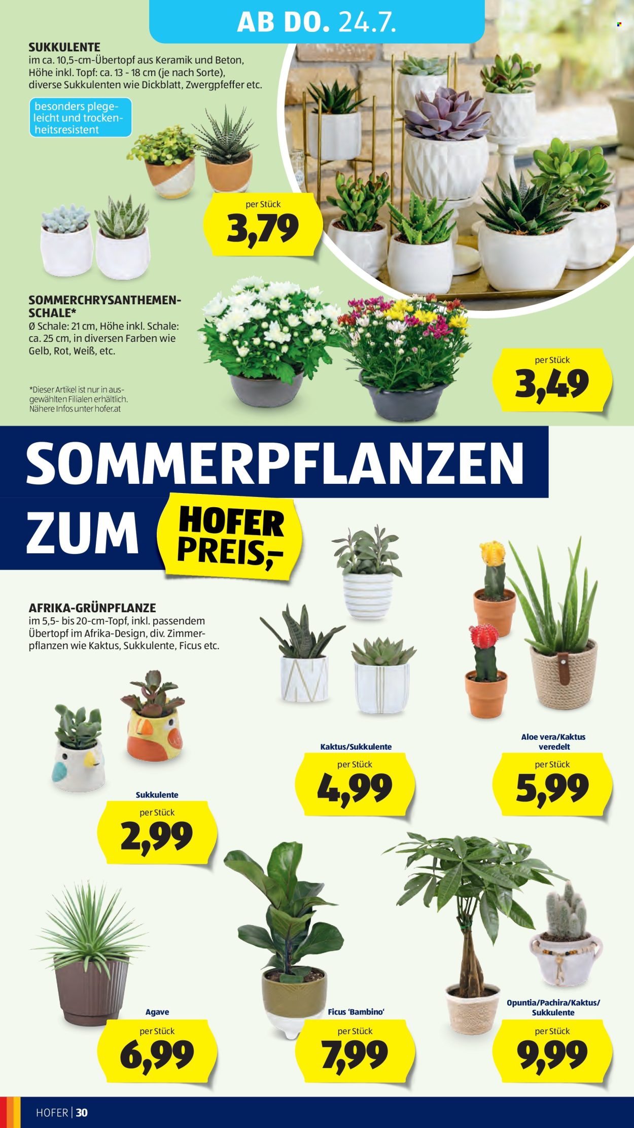 Angebote Hofer - 18.7.2025 - 24.7.2025. Seite 34