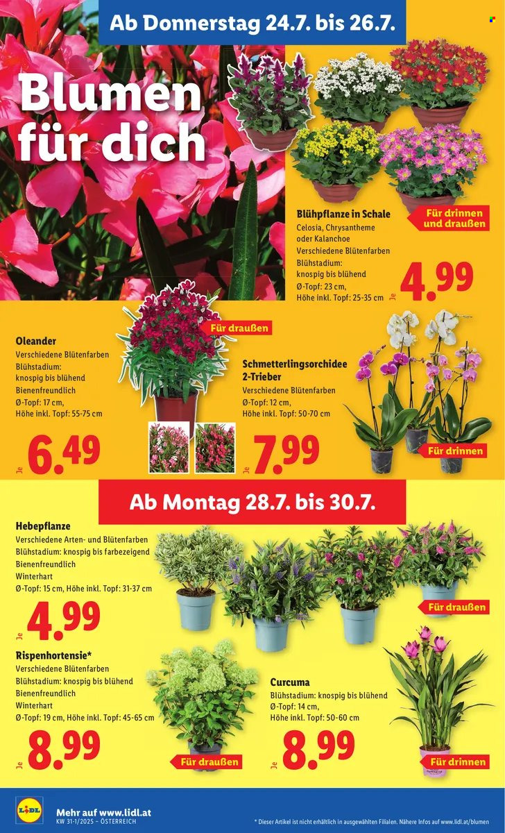 Angebote Lidl - 24.7.2025 - 30.7.2025. Seite 28