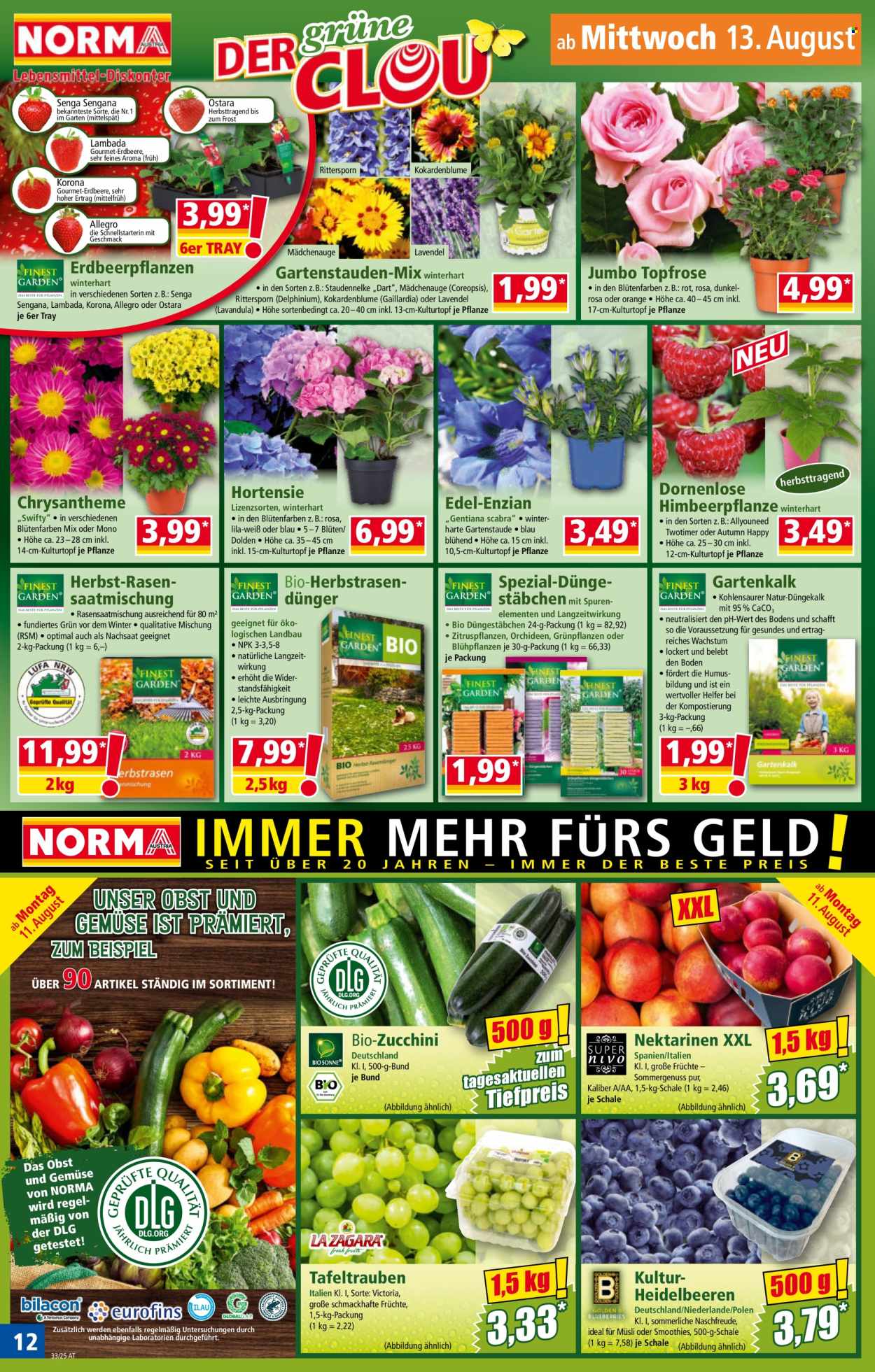 Angebote Norma - 11.8.2025 - 16.8.2025. Seite 12