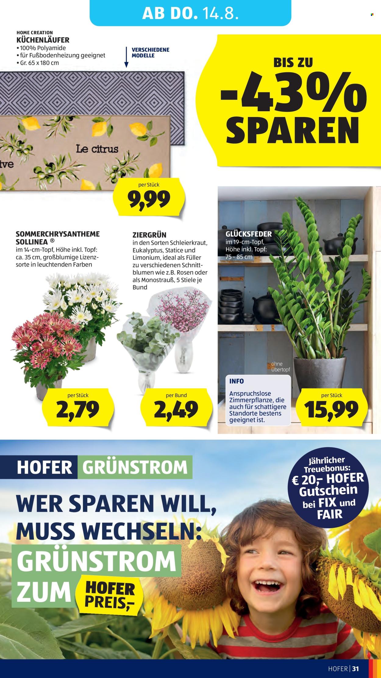 Angebote Hofer - 8.8.2025 - 14.8.2025. Seite 35