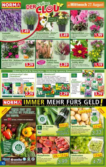 thumbnail - Heidekraut Calluna Twins