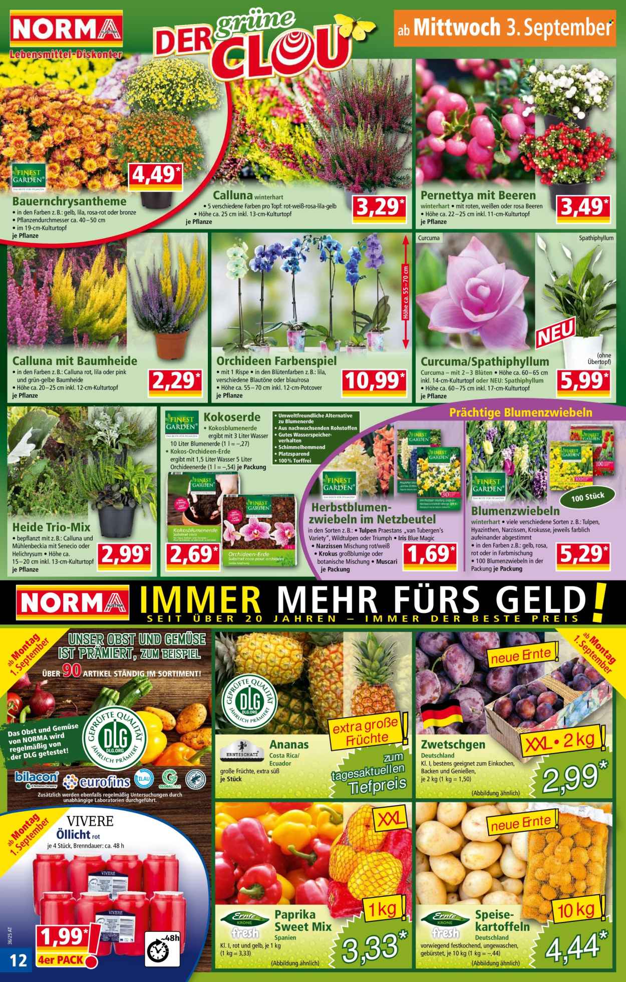 Angebote Norma - 1.9.2025 - 6.9.2025. Seite 12