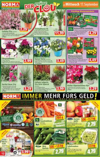 thumbnail - Calluna vulgaris Trio Girls Special