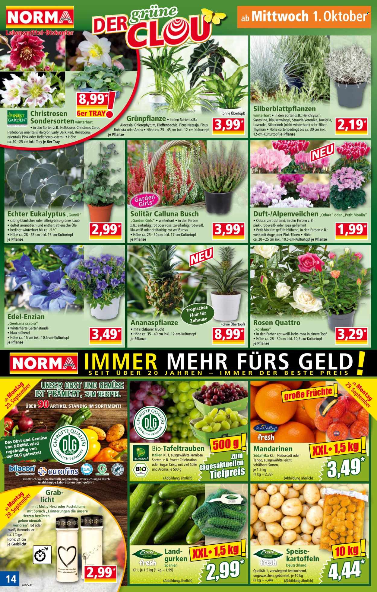 Angebote Norma - 29.9.2025 - 4.10.2025. Seite 14