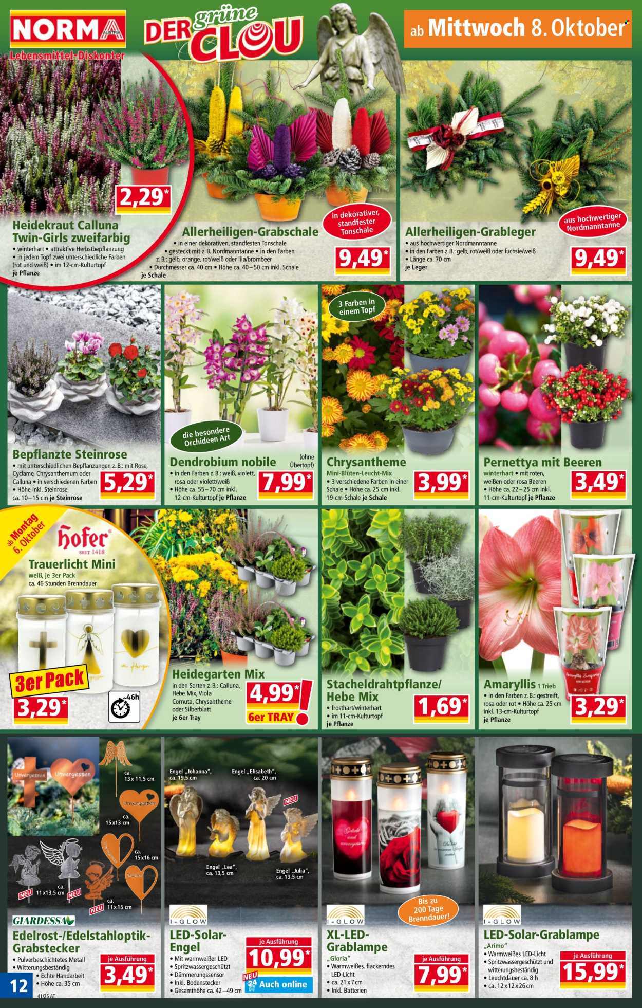 Angebote Norma - 6.10.2025 - 11.10.2025. Seite 12