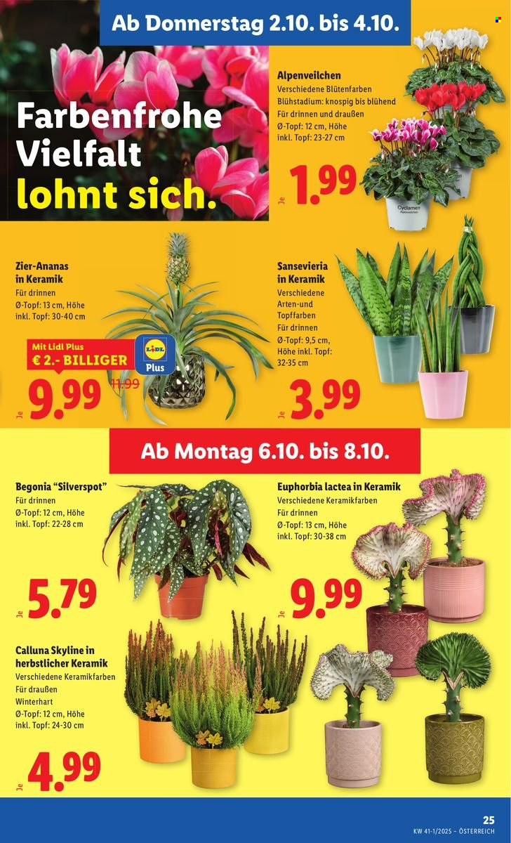 Angebote Lidl - 2.10.2025 - 8.10.2025. Seite 27