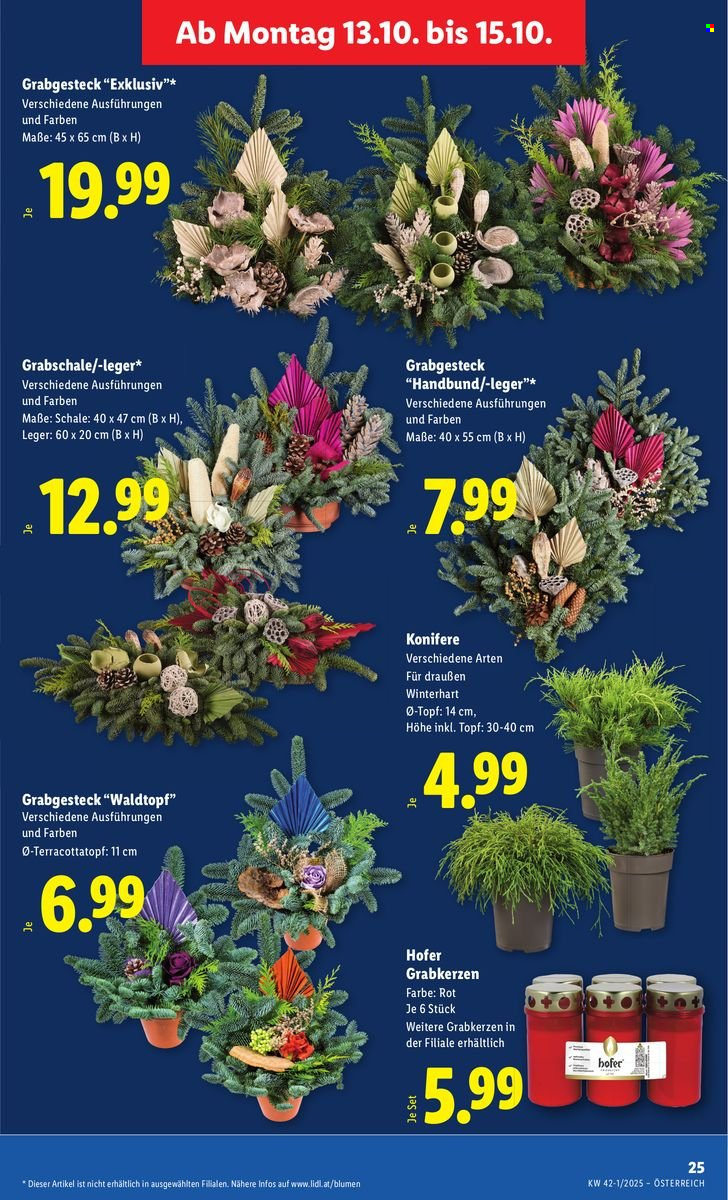 Angebote Lidl - 9.10.2025 - 15.10.2025. Seite 31