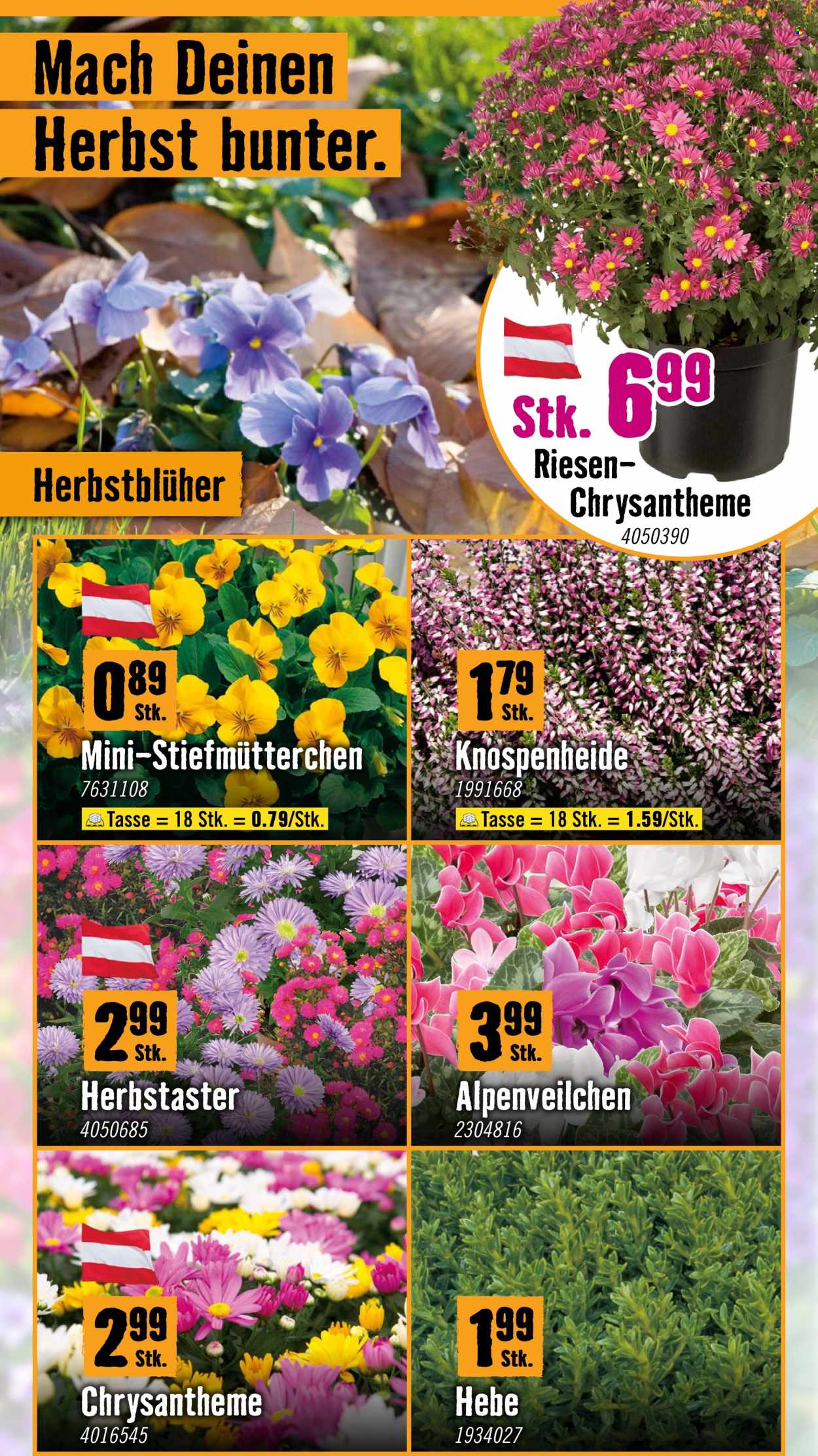 Angebote Hornbach - 6.10.2025 - 29.10.2025. Seite 2