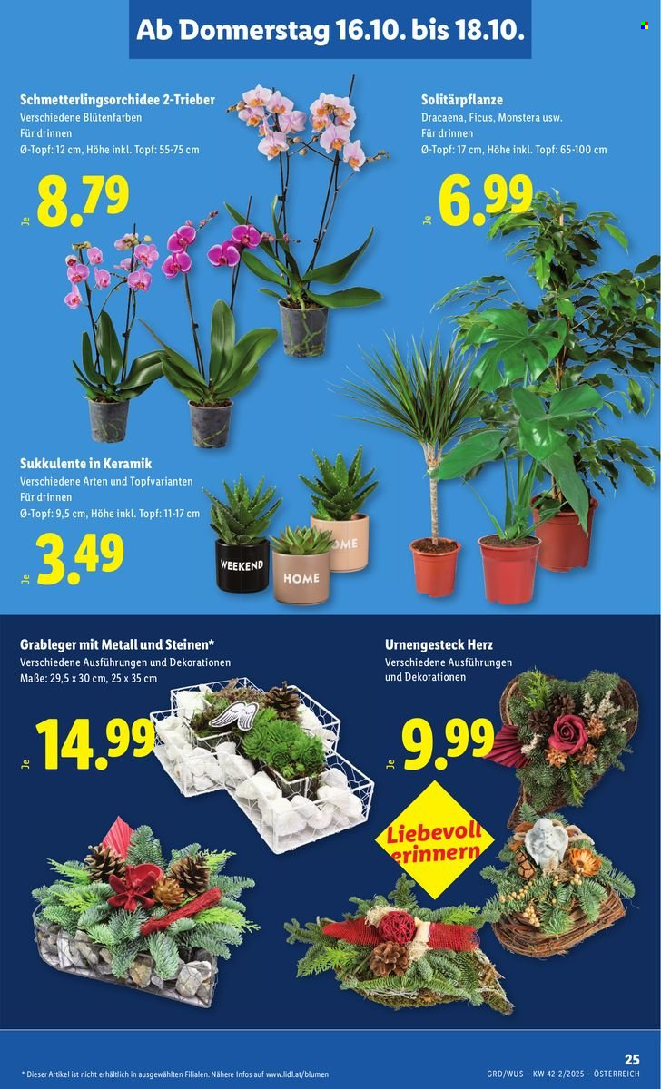 Angebote Lidl - 16.10.2025 - 22.10.2025. Seite 29