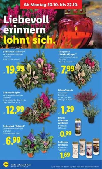 thumbnail - Calluna Vulgaris