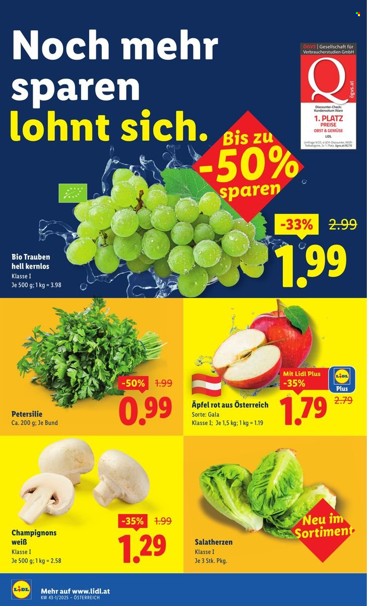 Angebote Lidl - 16.10.2025 - 22.10.2025. Seite 40