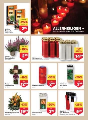 thumbnail - Calluna Beauty Ladies