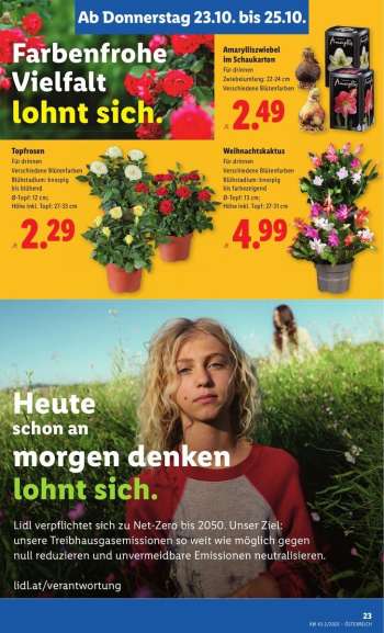 thumbnail - Topfrosen
