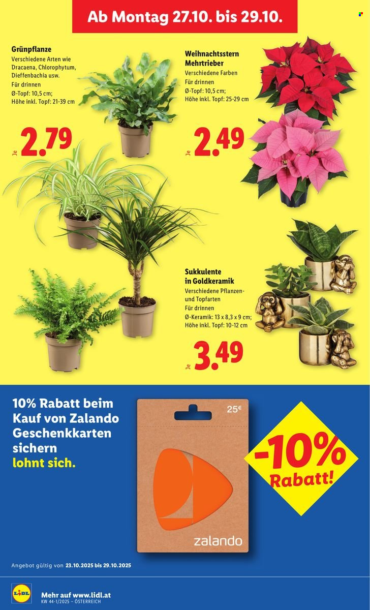 Angebote Lidl - 23.10.2025 - 29.10.2025. Seite 30