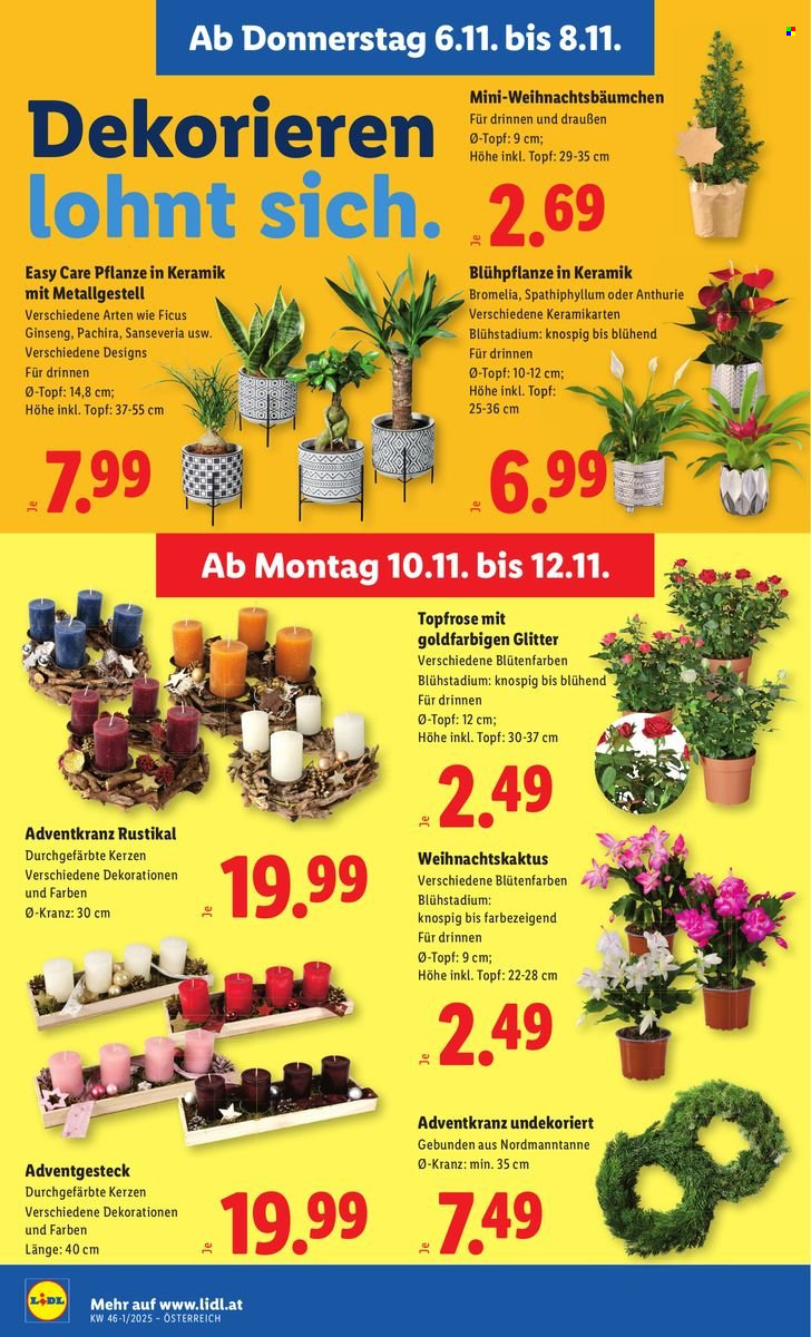 Angebote Lidl - 6.11.2025 - 12.11.2025. Seite 28