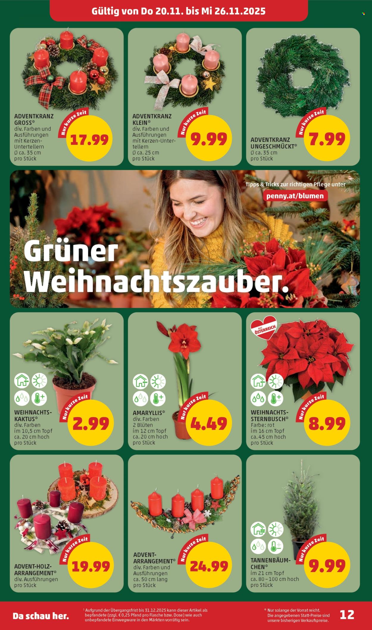 Angebote Penny - 20.11.2025 - 26.11.2025. Seite 12