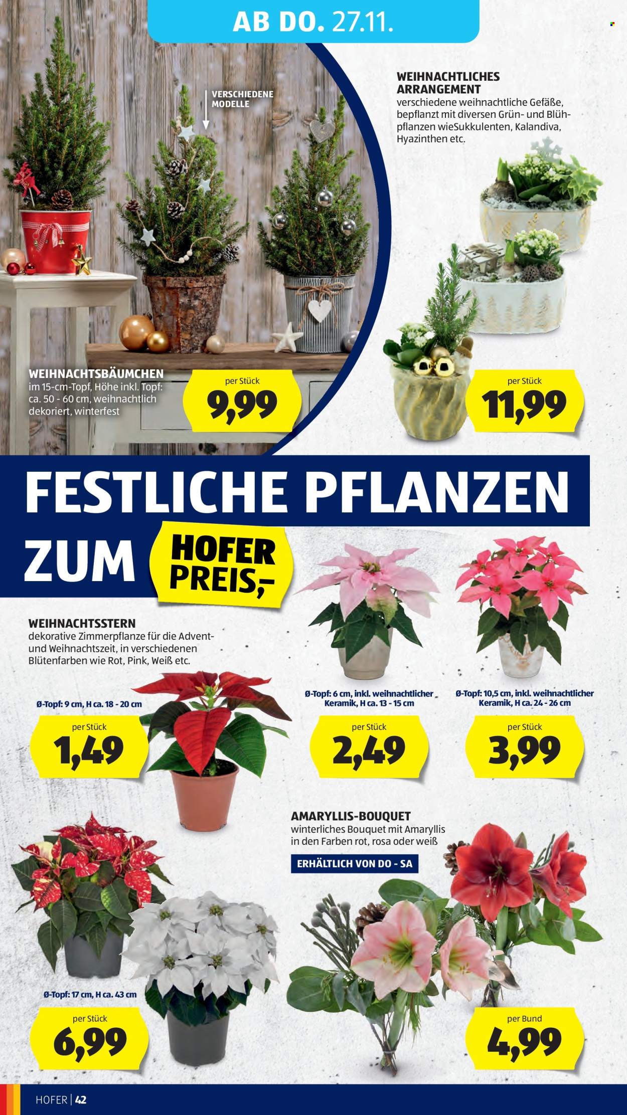 Angebote Hofer - 21.11.2025 - 27.11.2025. Seite 56