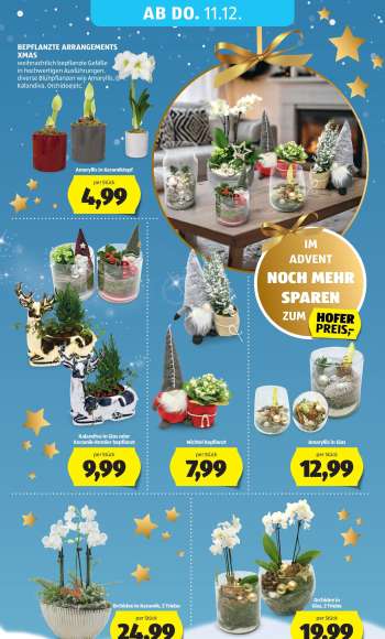 thumbnail - BEPFLANZTE ARRANGEMENTS XMAS