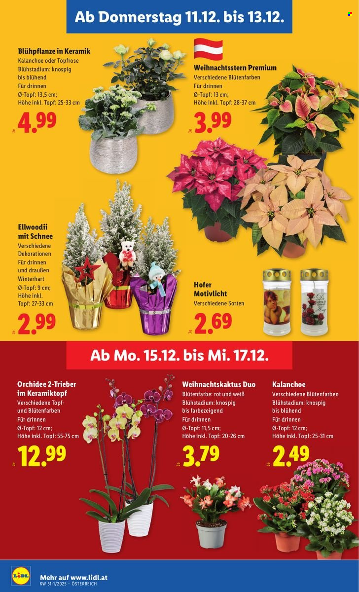 Angebote Lidl - 11.12.2025 - 17.12.2025. Seite 30