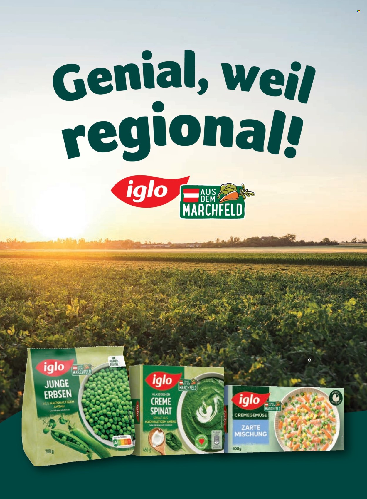 Angebote Billa - 1.1.2026 - 28.2.2026. Seite 102