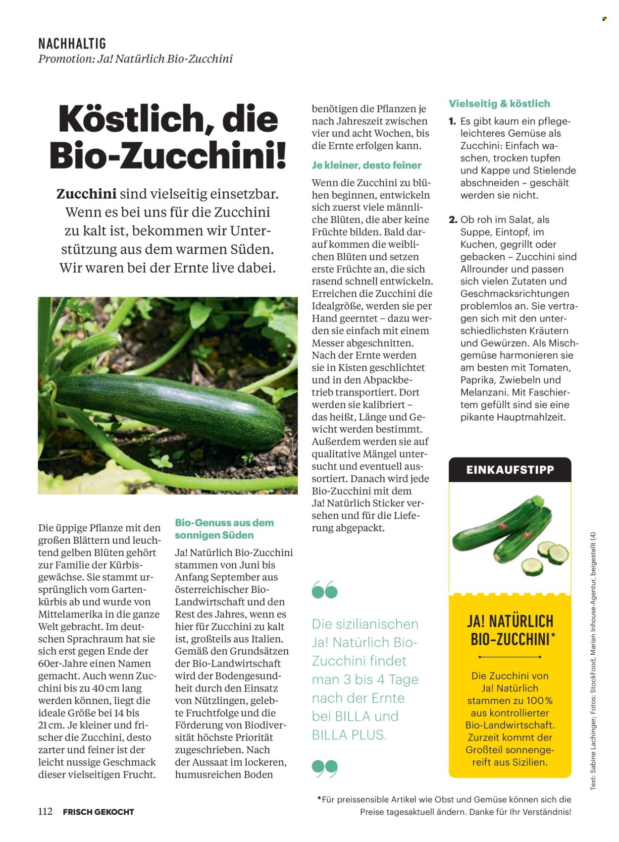 Angebote Billa - 1.1.2026 - 28.2.2026. Seite 108