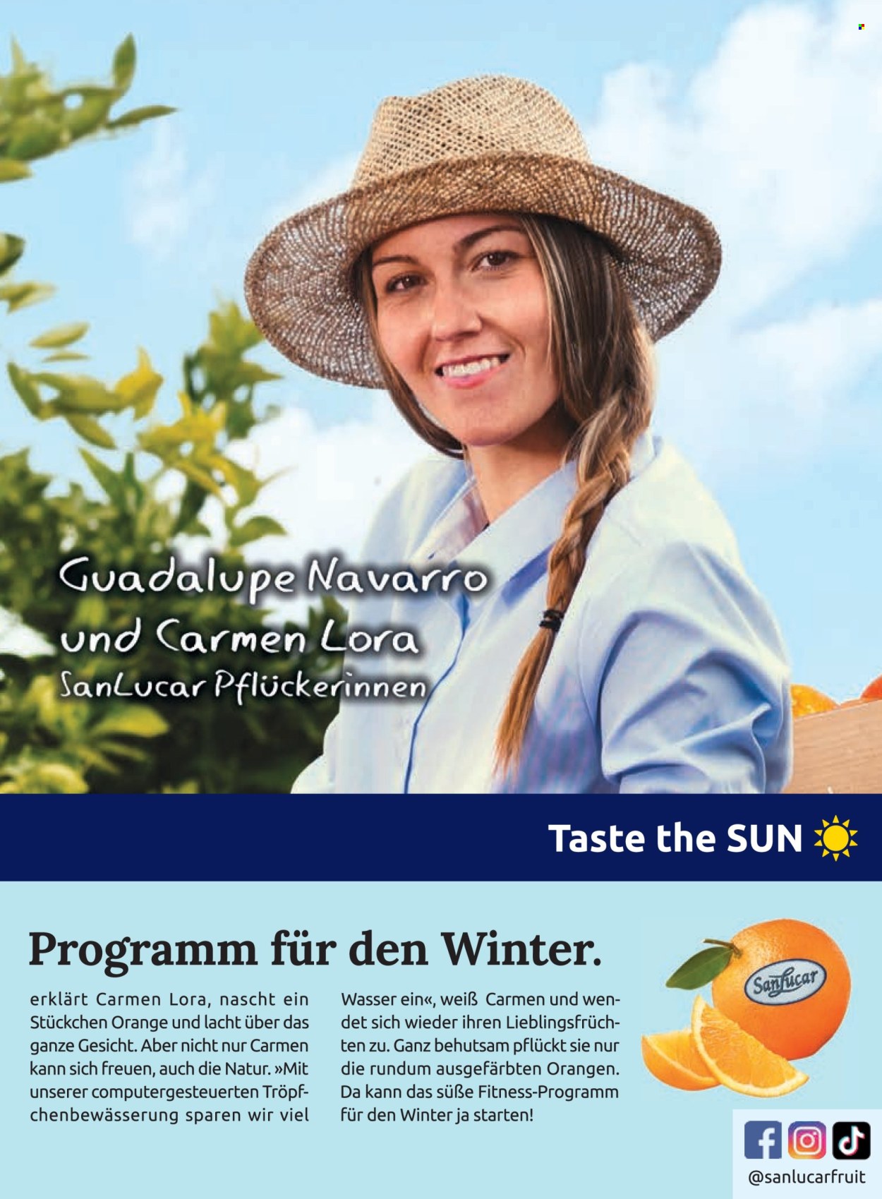 Angebote Billa - 1.1.2026 - 28.2.2026. Seite 163