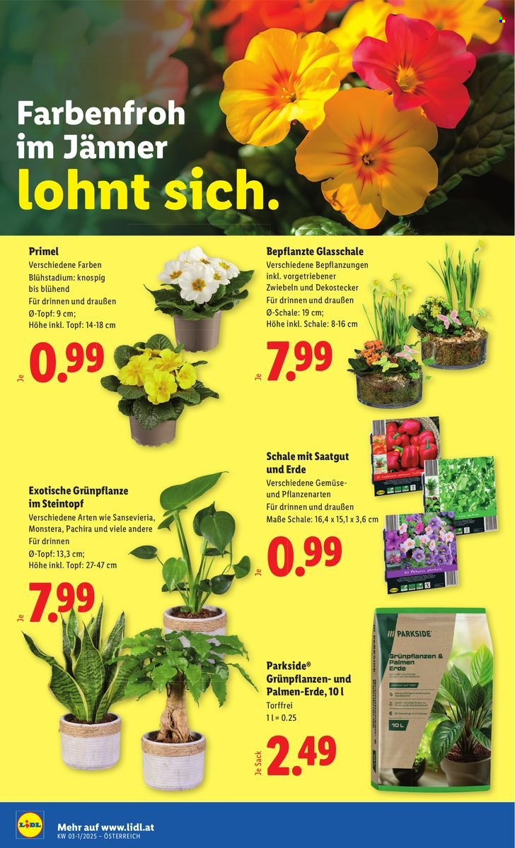 Angebote Lidl - 8.1.2026 - 14.1.2026. Seite 28