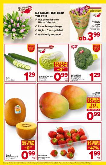 thumbnail - Da komm’ ich her! Chinakohl