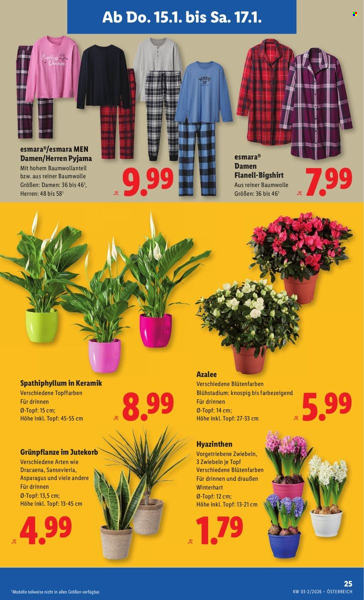 Angebote Lidl - 15.1.2026 - 21.1.2026. Seite 29