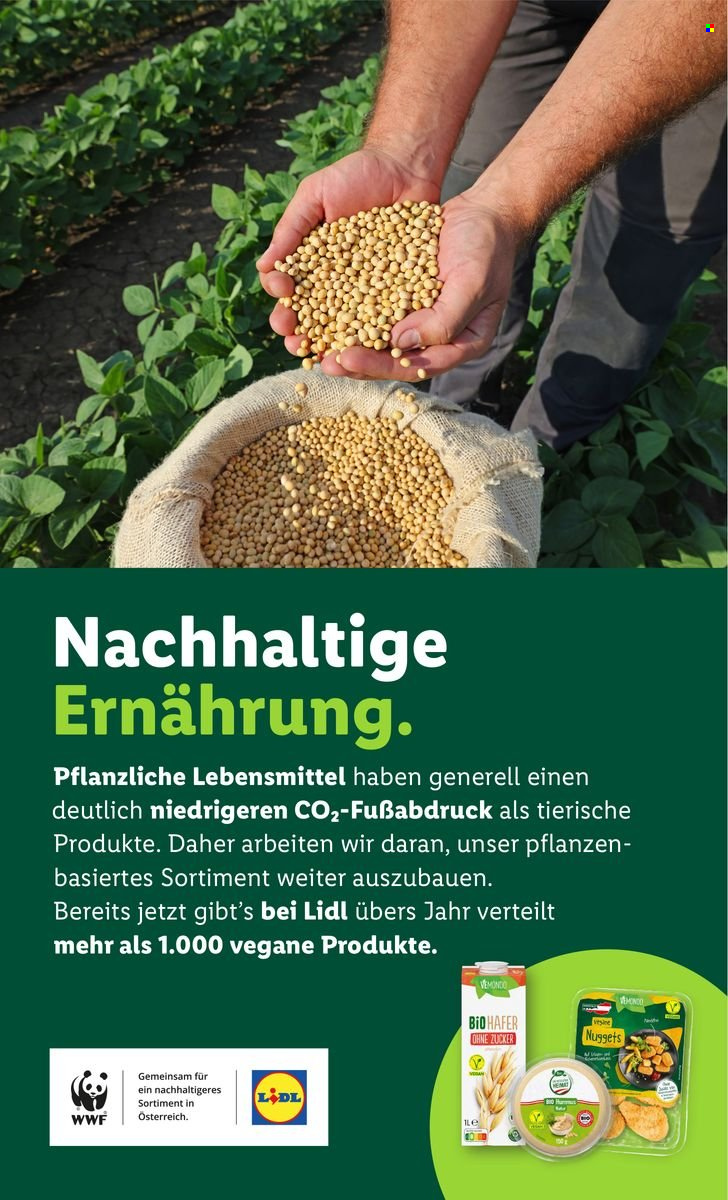 Angebote Lidl - 15.1.2026 - 21.1.2026. Seite 47