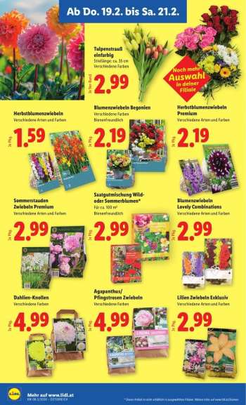 thumbnail - Herbstblumenzwiebeln