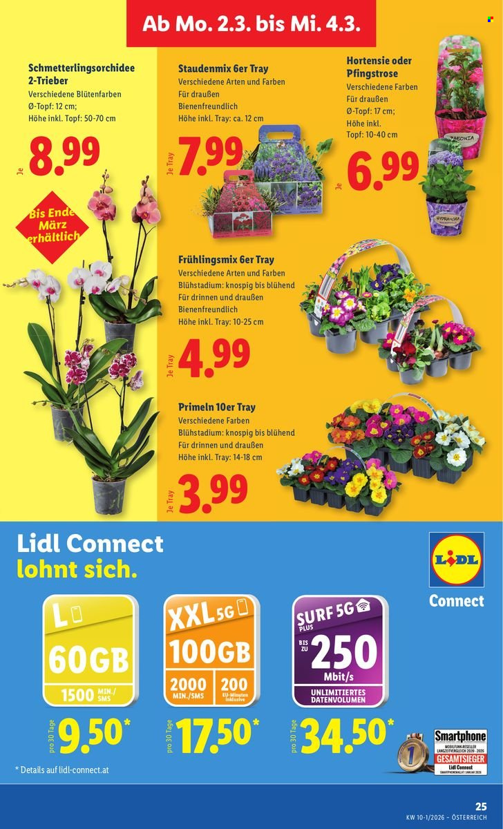 Angebote Lidl - 26.2.2026 - 4.3.2026. Seite 30