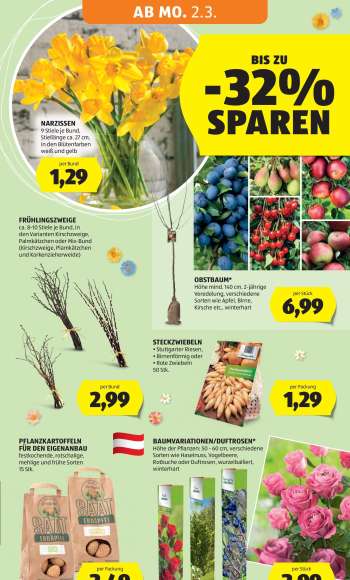 thumbnail - OBSTBAUM