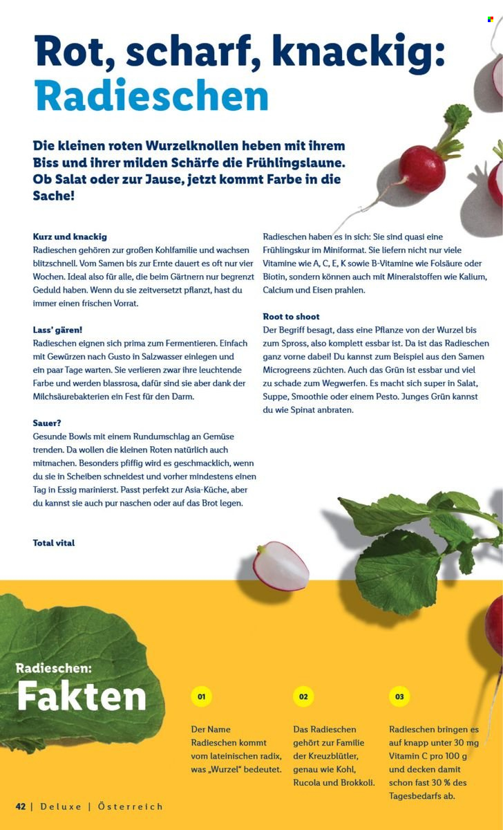 Angebote Lidl. Seite 42