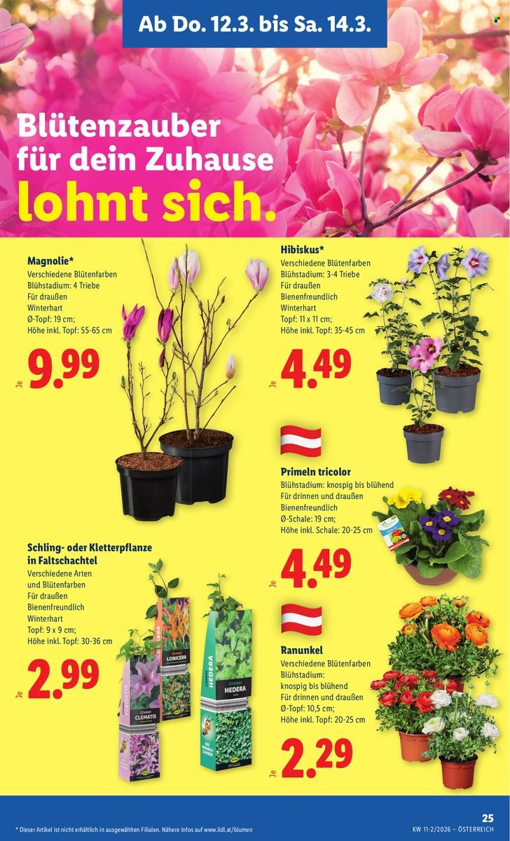 Angebote Lidl - 12.3.2026 - 18.3.2026. Seite 29