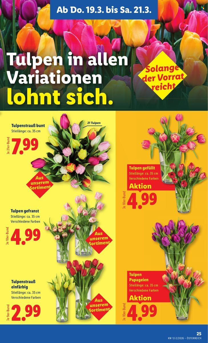 Angebote Lidl - 19.3.2026 - 25.3.2026. Seite 27